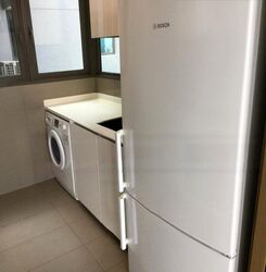Skyline Residences (D4), Condominium #477794661